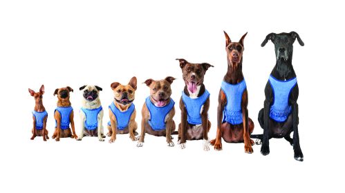 GF Pet Elasto-Fit Ice Vest - Blue (size: M)